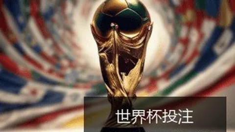 世界杯决赛门票炒，投注策略，至200万，球迷热议天价票